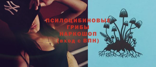 spice Балабаново