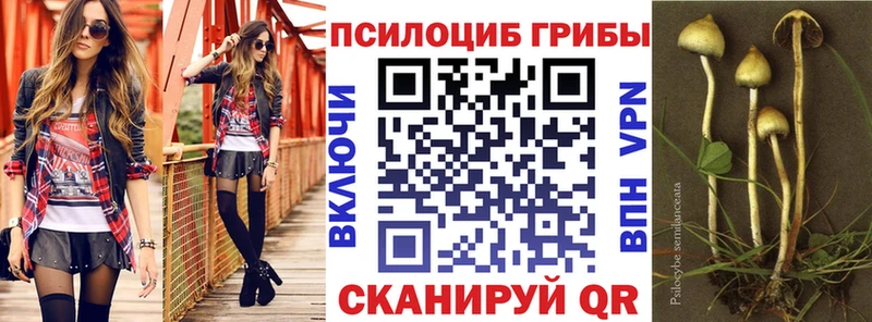 Псилоцибиновые грибы Psilocybine cubensis  закладка  гидра ТОР  Дальнегорск 