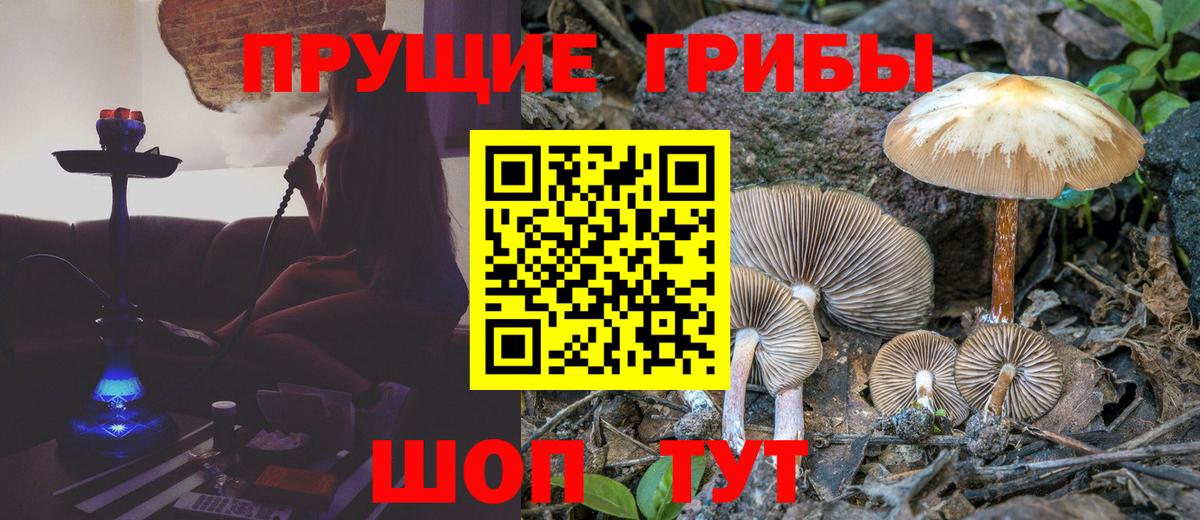 Галлюциногенные грибы прущие грибы  Псилоцибиновые грибы мицелий  Вход с VPN  Дальнегорск 